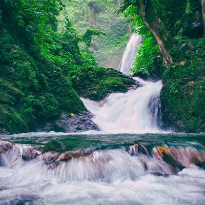 四副牌拖拉机游戏手机版下载